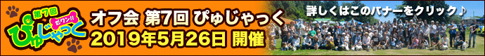 オフ会ぴゅじゃっく開催のお知らせ